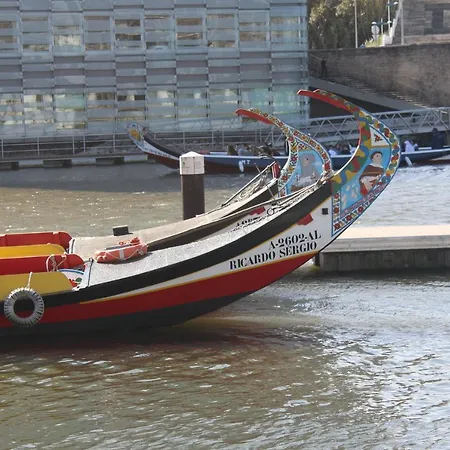 Wonder * Aveiro